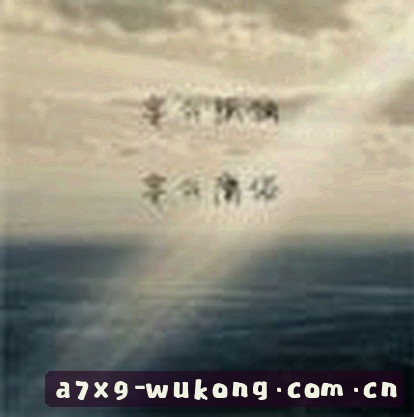 刘洋